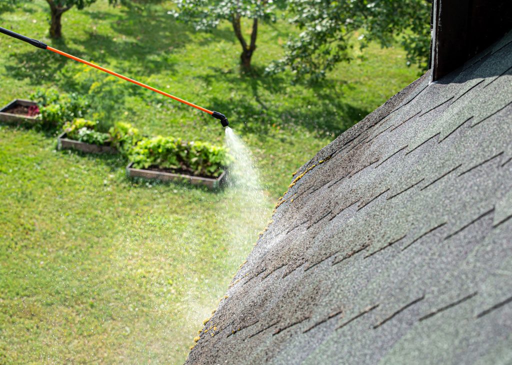 Person Pressure washing roof